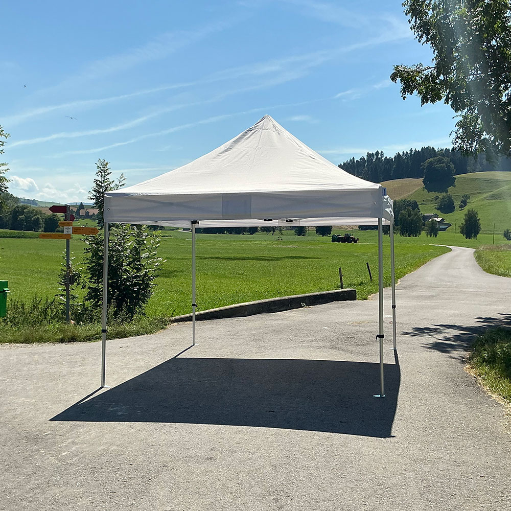 Profi Pavillon 3 x 3 m Profi Pavillon 3 x 3 m