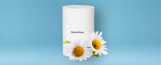 Mini - Reinigungsrolle Gastro-Haus Mini - Reinigungsrolle Gastro-Haus